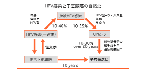 Hpv 検査